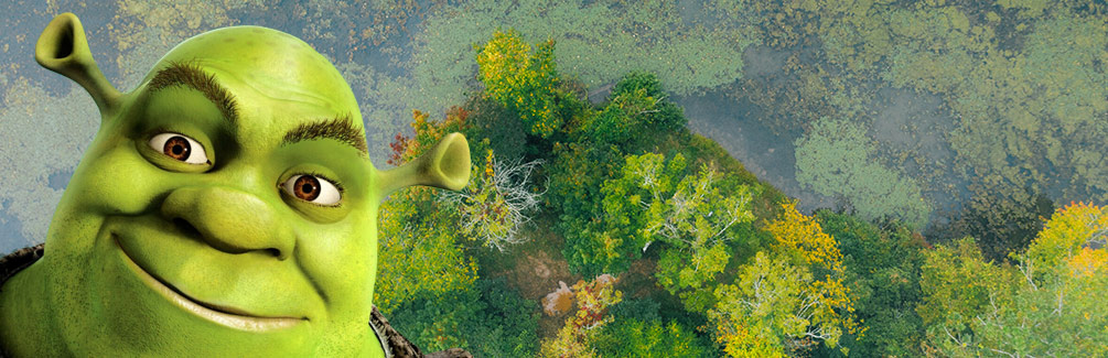 Looking Beyond the Surface: A Reflection on Shrek and God's Perspective