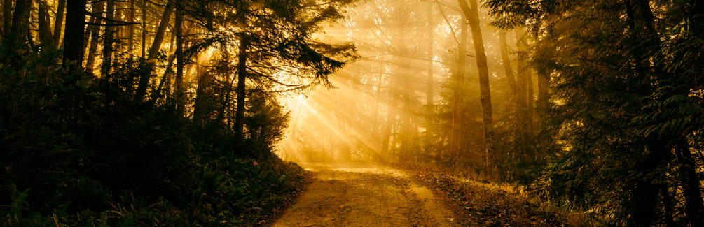 Life Lessons That Last: Walking in Wisdom from Proverbs 13 explores godly wisdom, legacy, contentment in Christ, and righteous living for every believer.