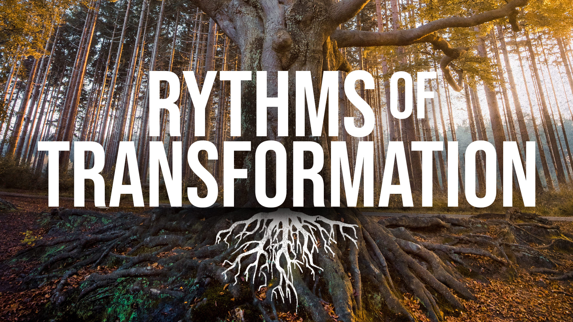 Rhythms of Transformation