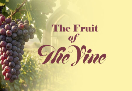 The Fruit of The Vine
